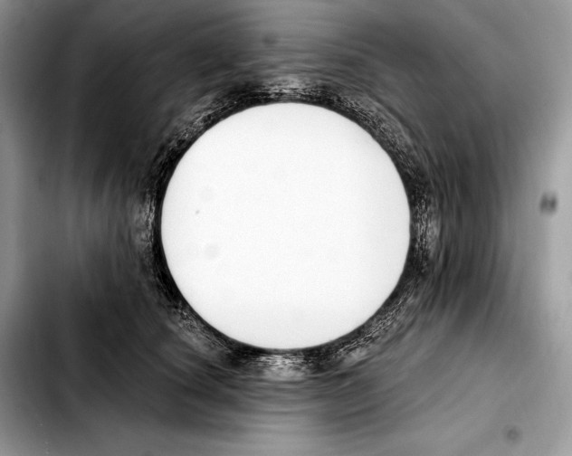 X0000103460660200810101151