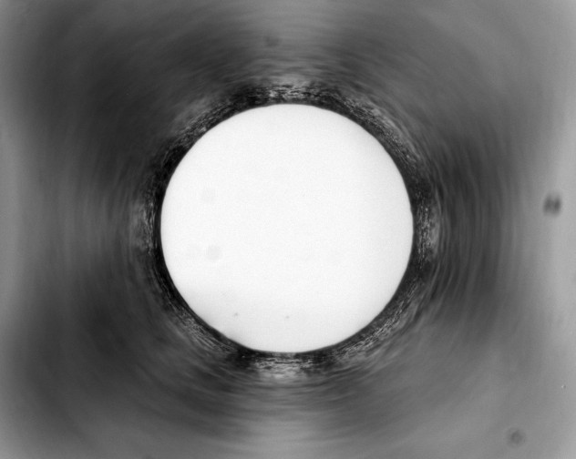 X0000103460661200810101151