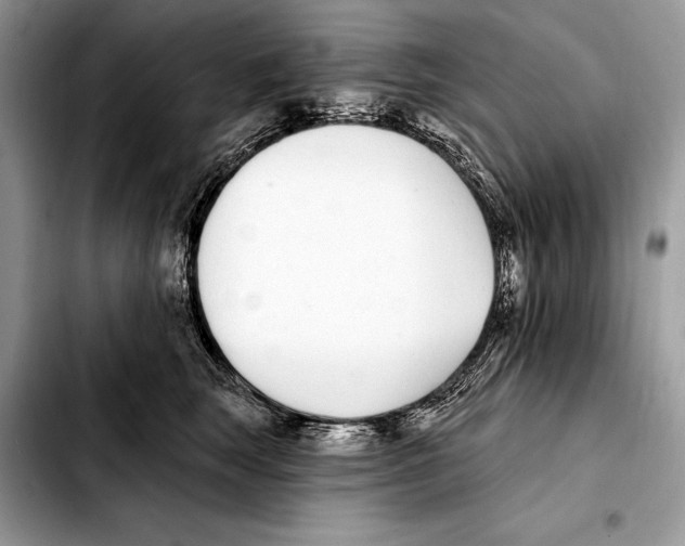X0000103460663200810101151