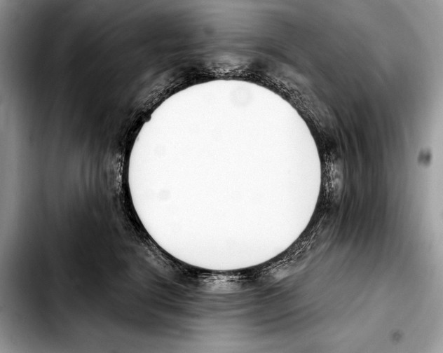 X0000103460664200810101151
