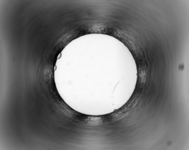 X0000103460665200810101151