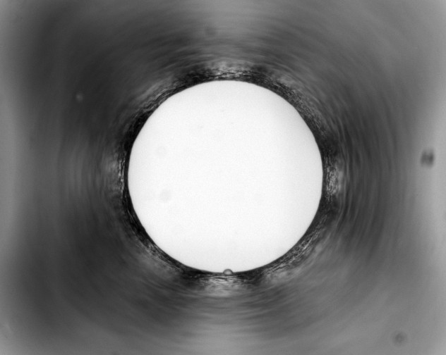 X0000103460666200810101151