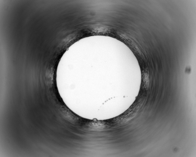 X0000103460668200810101151