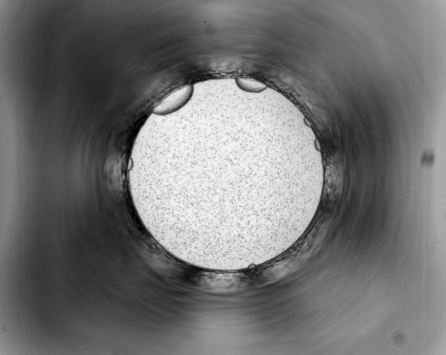 X0000103460671200810101152