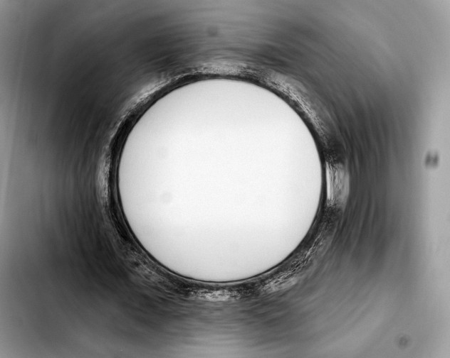 X0000103460675200810101151