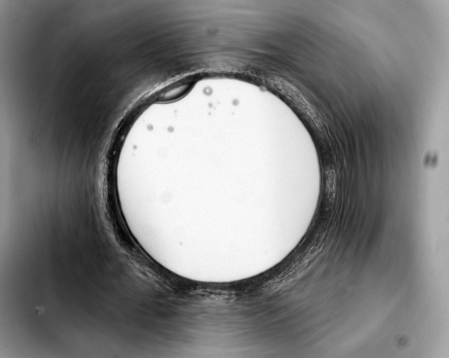X0000103460676200810101151