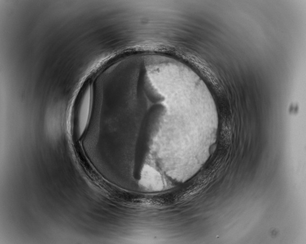X0000103460678200810101151