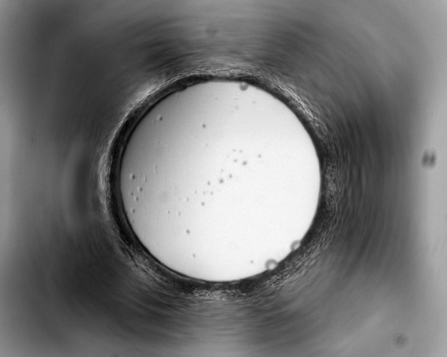 X0000103460679200810101151