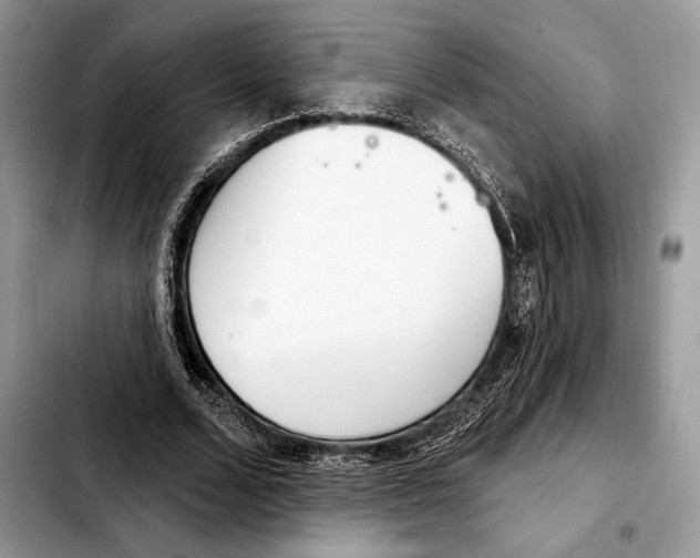 X0000103460680200810101151