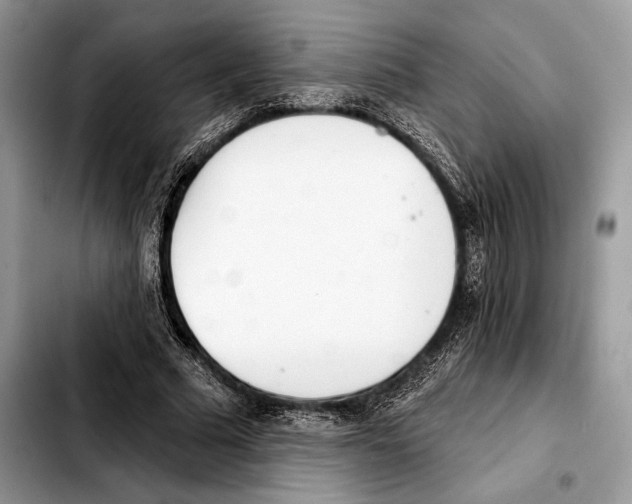 X0000103460681200810101151
