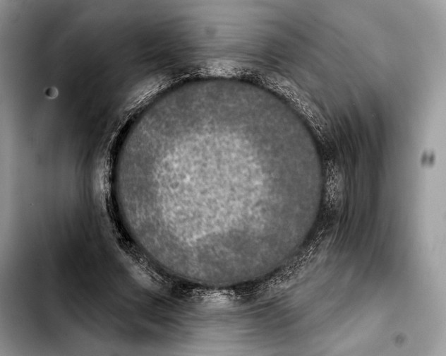X0000103460683200810101151