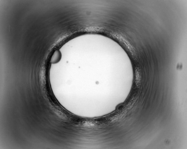 X0000103460684200810101151