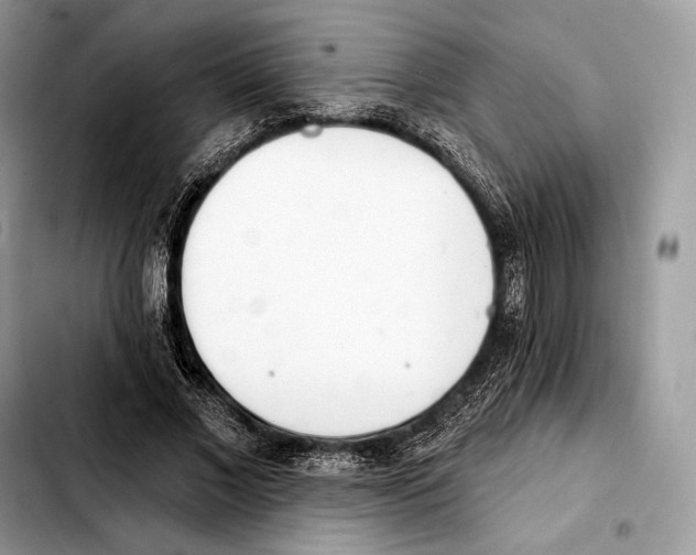 X0000103460685200810101151