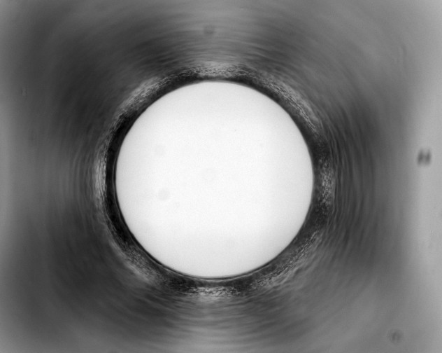 X0000103460686200810101151