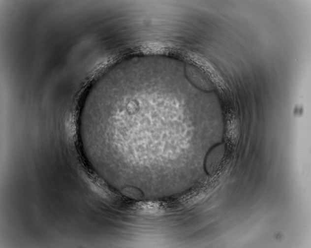 X0000103460687200810101151
