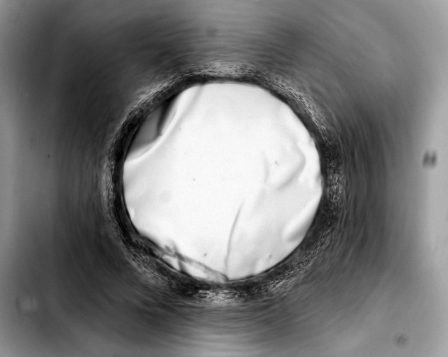X0000103460688200810101151