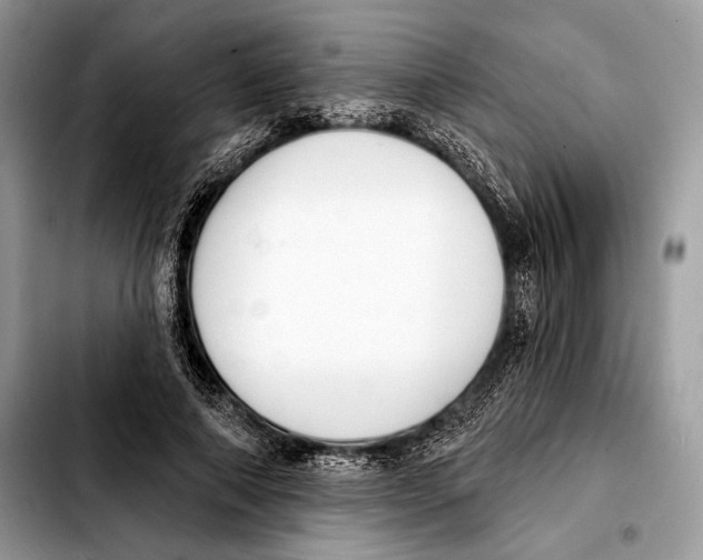 X0000103460690200810101150