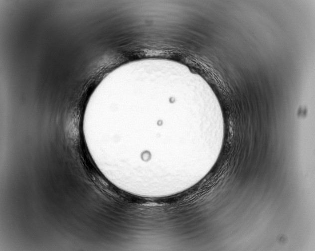 X0000103460691200810101150