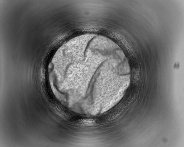 X0000103460692200810101150