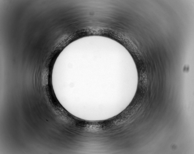 X0000103460694200810101150