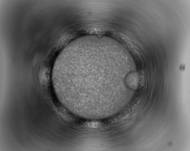 X0000103460695200810101150