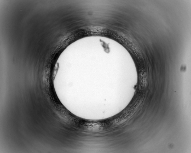 X0000103460698200810101150