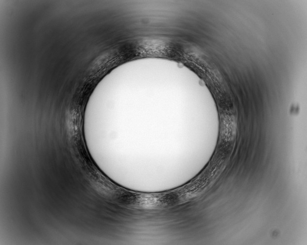 X0000103460701200810101150