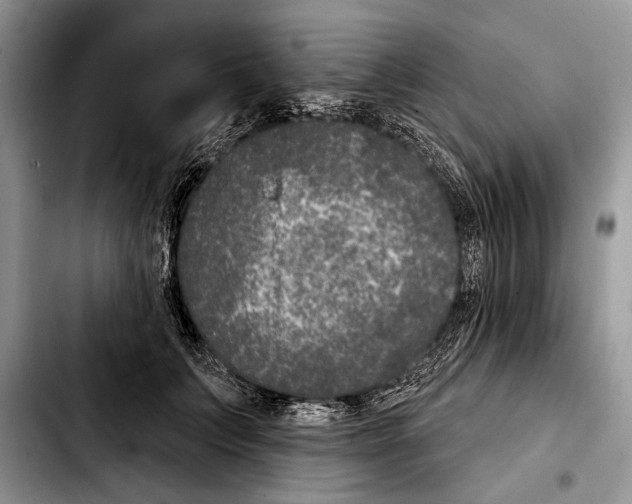 X0000103460703200810101150