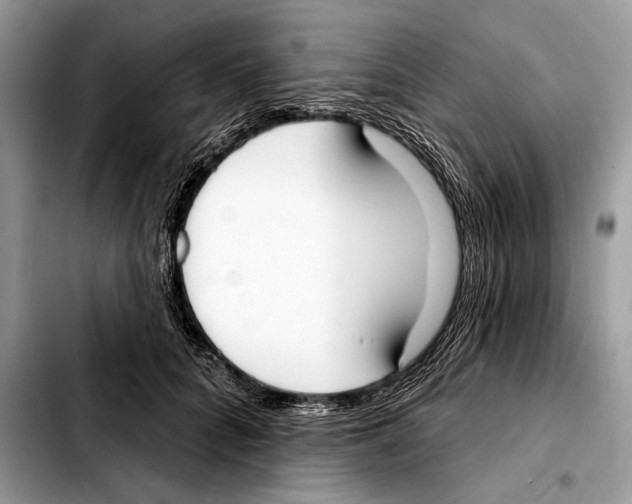 X0000103460704200810101150
