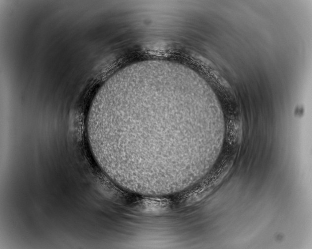 X0000103460707200810101150