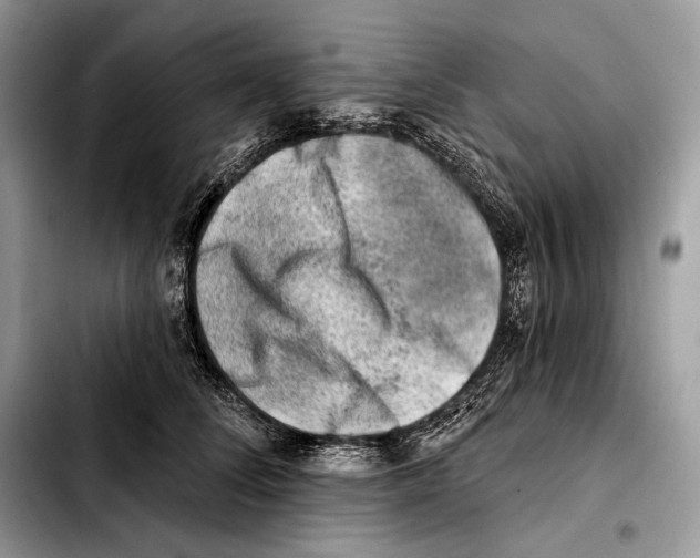 X0000103460708200810101150