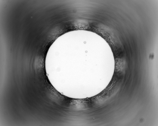 X0000103460713200810101150