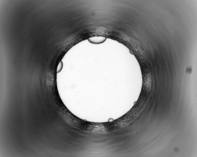 X0000103460715200810101150