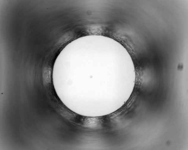 X0000103460717200810101150