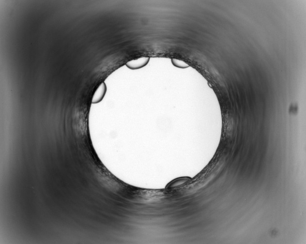 X0000103460719200810101150