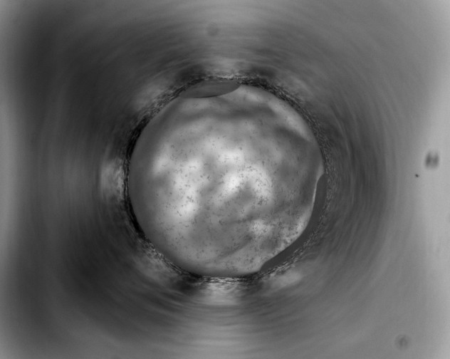 X0000103460720200810101150