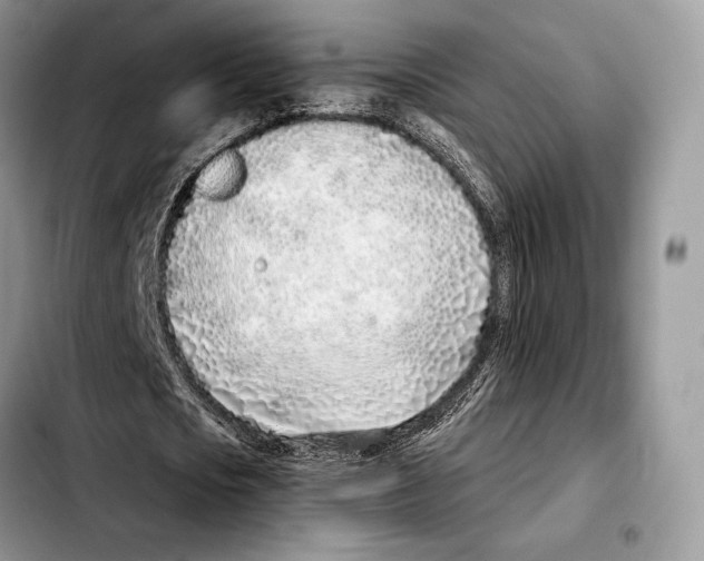 X0000103460721200810101149