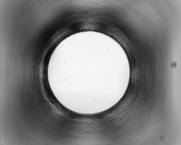 X0000103460722200810101149