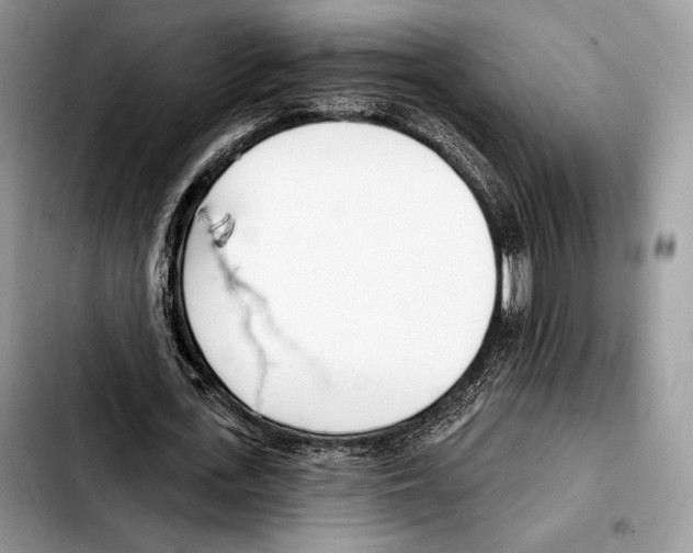 X0000103460723200810101149