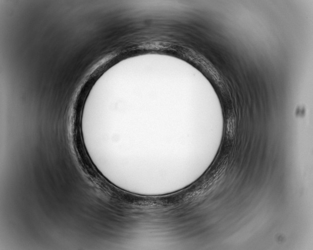 X0000103460724200810101149