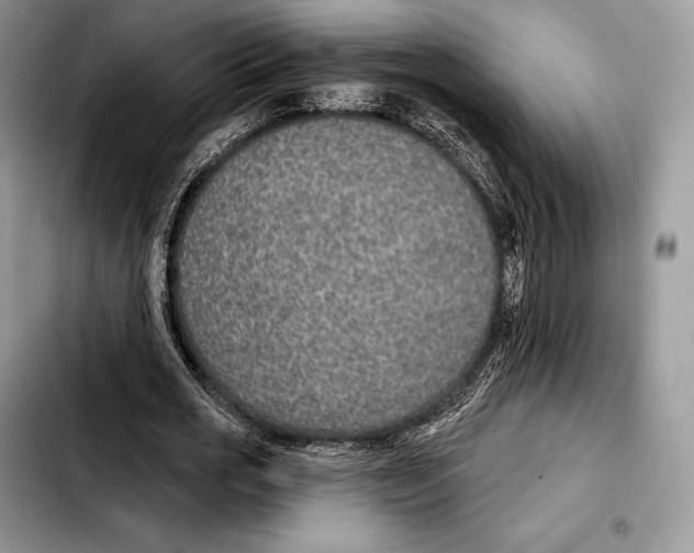 X0000103460725200810101149