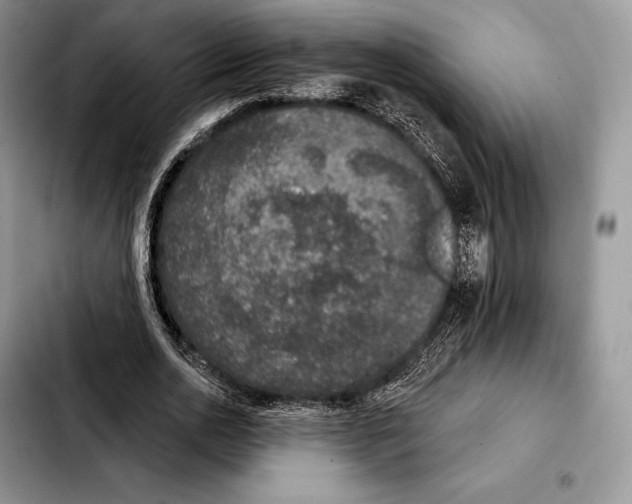 X0000103460726200810101149