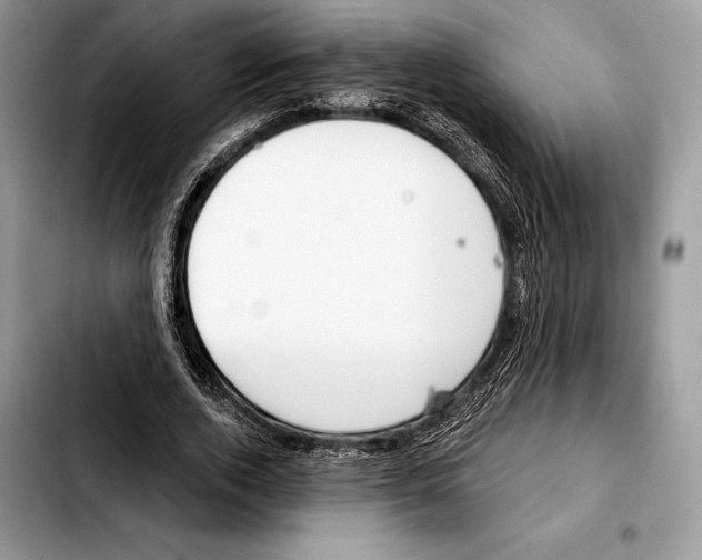 X0000103460728200810101149