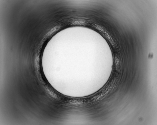 X0000103460729200810101149