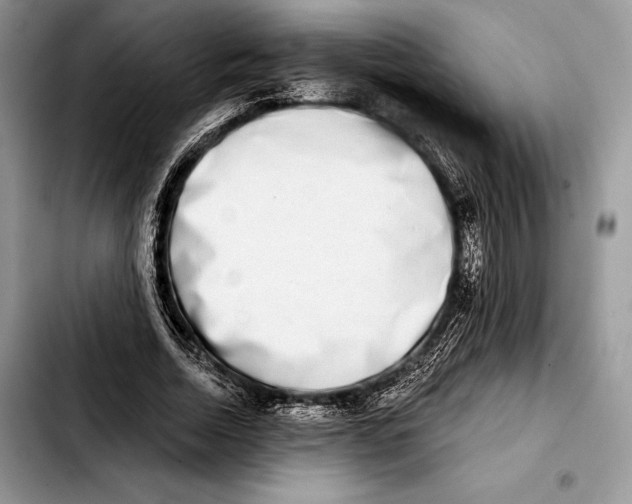 X0000103460730200810101149