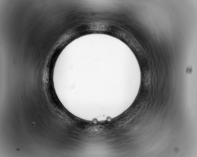 X0000103460731200810101149
