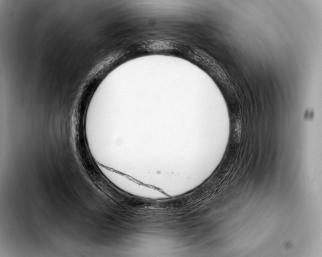 X0000103460732200810101149