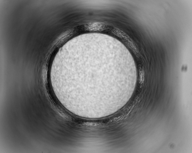 X0000103460733200810101149