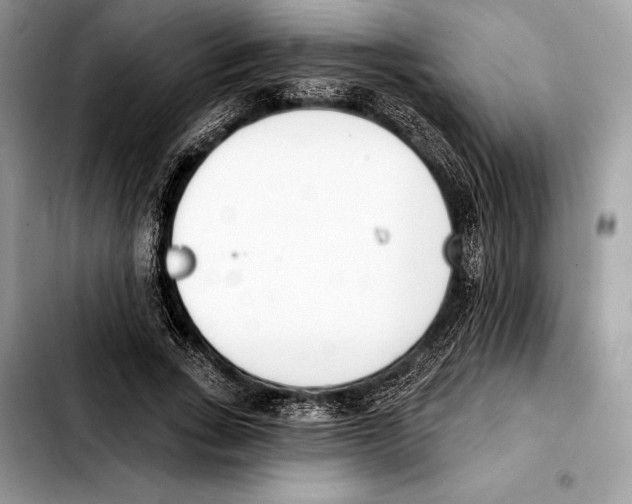 X0000103460735200810101149