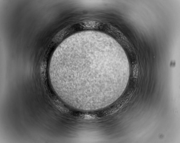 X0000103460737200810101149